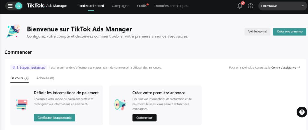 TikTok Ads manager